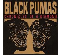 Black Pumas - Chronicles Of A Diamond