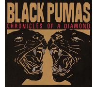 Black Pumas - Chronicles Of A Diamond