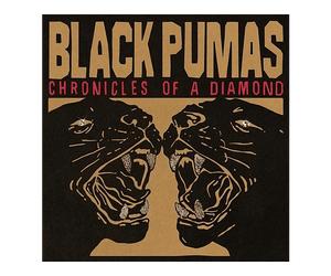 - Chronicles Of A Diamond - CD