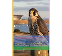 Chronicles of Google I/O 2024: Compendium of Voices, Reflections, Learnings, and Trends in Google Technologies and Services