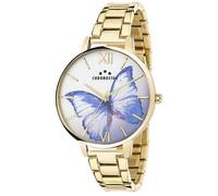 Chronostar R3753267502