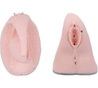 CHROX Strumenti Didattici in Manichino in PVC, Modello Anatomico Interno Ed Esterno Dell'apparato Riproduttivo Femminile per L'insegnamento Medico, La Formazione Infermieristica