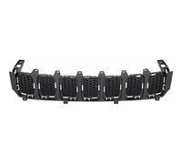 CHRYS GRILL COMPASS COOLER 2021-\u003e\u003e PARTE INTERNA