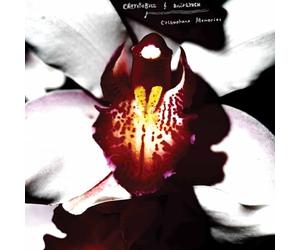 CHRYSTABELL & DAVID LYNCH - CELLOPHANE MEMORIES