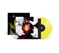Chrystabell & David Lynch Cellophane Memories (Vinyl LP)