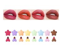 CHSEEO Set di rossetti mini stella a 8 colori, lucidalabbra opaco di velluto, Lunga Durata Impermeabile Professionale, mini rossetti confezione regalo per donne e ragazze bellezza cosmetici - D