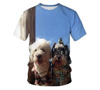 CHSLO Uomo 3D T Shirt Magliette Estate Orso Cane Cavallo Maiale Animale Unisex Stampa Digitale 3D T-Shirt Girocollo da Uomo A Maniche Corte Felpa Elasticizzata Allentata Pullover Traspirante Oversiz