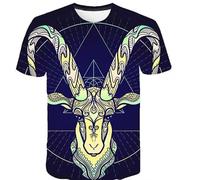 CHSLO Uomo 3D T Shirt Magliette Estate Peculiare Pecora Cavallo Leone Animale Unisex Stampata Digitale 3D T-Shirt Girocollo da Uomo A Maniche Corte Sciolto Fitness Elasticizzato Traspirante Top SPOR
