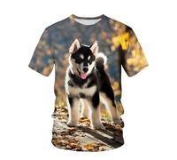 CHSLO Uomo 3D T Shirt Magliette T-Shirt Estiva Divertente Simpatico Cane Unisex con Stampa Digitale 3D Girocollo da Uomo Sciolto Elastico Ad Asciugatura Rapida Top Pullover Felpa Oversize Top