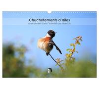 Chuchotements d'ailes - Une année dans l'intimité des oiseaux (Calendrier mural 2026 DIN A3 vertical), CALVENDO calendrier mensuel: Un calendrier ... la splendeur de leurs instants suspendus.