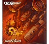 CHUCK NORRIS EXPERIMENT - RIGHT BETWEEN THE EYES