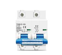 CHULKJFX Circuit Breaker 2p DC MCB 600V 125A 100A 80A Circuit Breaker for PV System C Curve Battery Main Switch(100A)