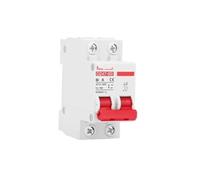 CHULKJFX Interruttore Automatico 2P DC 12V 24V 48V 60V 110V Interruttore di Protezione della Batteria Cortocircuito Positivo e Negativo 10A 20A 50A 100A(6 Years)