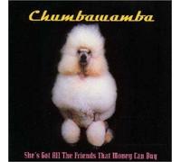 Chumbawanba - She S Got All the Friends