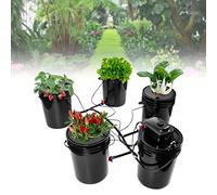 CHUOZI Sistema idroponico DWC da 5 secchi, kit per la coltivazione di colture profonde da 0,8 litri, con pompa ad aria da 4 W e ciottoli di argilla, dispositivo di livello in pietra e acqua per