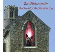 Church of Little Black Dog