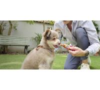 INABA Churu Rolls Chicken 8 x 12g snack di pollo e salmone per cani