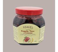 Chutney Fragola, Timo, Limone Ideale per Gelato Leagel 2 Kg Lucgel