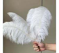 CHUYIX Piume di struzzo naturale, 10 pezzi, 15-20 cm, piume di struzzo, piume morbide, bianche per fai da te, casa, matrimoni, feste, ufficio, decorazione, bouquet, piuma, plume, accessori fai da te,