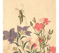 Chypho Entomongaku II (Vinyl LP)