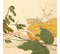 Chypho Entomongaku (Vinyl LP)