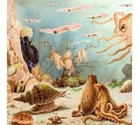 Chypho Episodes In Oceanography, Vol. 1 (CD)