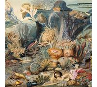 Chypho - Episodes In Oceanography Vol.2