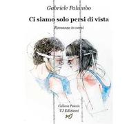 Ci siamo solo persi di vista. Romanzo in versi