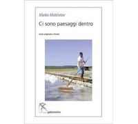 Ci sono paesaggi dentro. Ediz. multilingue
