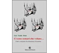 Ci sono somari che volano... Fatti e misfatti di urbanistica bizantina