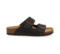 CIABATTA THESIS R IMB V. CR.HORSE V.BOSCO