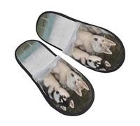 Ciabatte Da Casa Sled Dog Siberian Husky Alaskan House Shoes Comode Pantofole Con Suola Antiscivolo Ciabatte Per Viaggi Hotel E Bagno Regali L