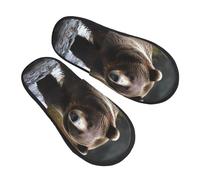 Ciabatte Orso Bruno Moda Slippers Morbide Pantofole Per Invernale Unisex Esterno L