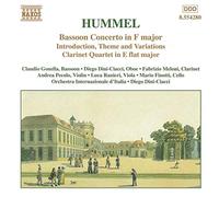 Ciacci-Dini Diego - Bassoon Concertos