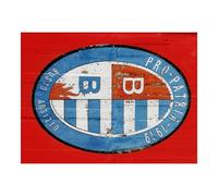 Cialda In Ostia Scudetto Pro Patria Decorazioni Per Torta Dischi Commestibile