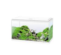 Acquario 60 - CIANO - 58 L + Filtro + LED + Riscaldatore + Materiali di Consumo - Bianco