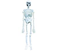 Ciao 30202 - Scheletro in PVC, 160 cm