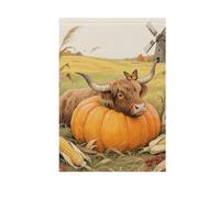 Ciao Autunno Autunno Zucca Zucca grandi bandiere all'aperto Ringraziamento banner per la decorazione del giardino 28x40 doppia faccia