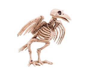 Ciao Scheletro Corvo Accessorio Decorazione Halloween