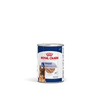 Cibo secco per cani Royal Canin SHN Maxi ageing 410 g Blu
