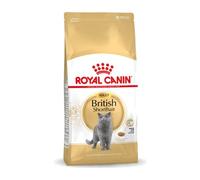 ROYAL CANIN British shorthair 34 10 kg