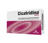 CICATRIDINA FORTE 30CPR