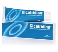 Cicatridina Pomata Irritazioni Arrossameni 60 g