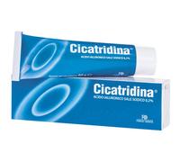 CICATRIDINA POMATA 60G