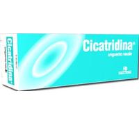 CICATRIDINA UNGUENTO NASALE 15 G