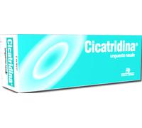 Cicatridina Unguento Nasale Cicatrizzante e Protettivo 15 grammi