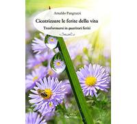 Cicatrizzare le ferite della vita. Trasformarsi in guaritori feriti
