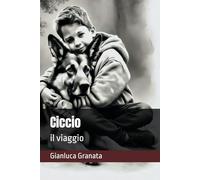 Ciccio: il viaggio