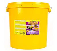 CICHLID COLOR FLAKES 21l / 4kg - Mangime di base altamente proteico per intensificare i colori dei ciclidi
