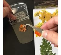 ciciglow Segnali di Fiori Secchi Segnalibri Adesivo Trasparente Artigianale Fai - -te Materiale per Animali Domestici Miti per Amanti della Natura (A)